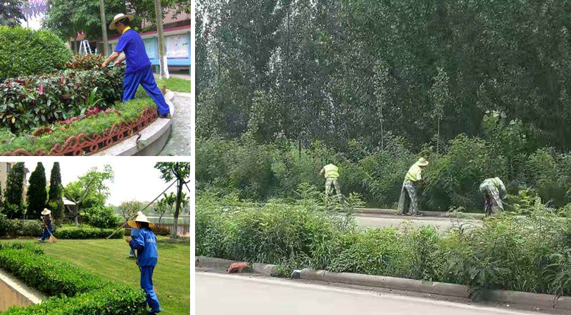 城市绿化、园林园艺